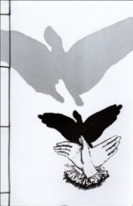 shadow-bird-cover-e1383877267280_grande