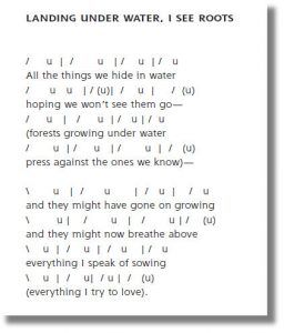 landing-under-water-scansion